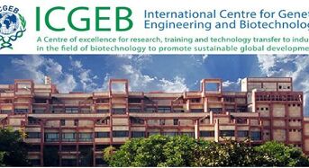 ICGEB Arturo Falaschi PhD and Postdoctoral Fellowships for Member Countries, 2018