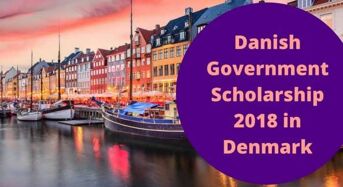 Danish Government Scholarship at University of Southern Denmark, 2019
