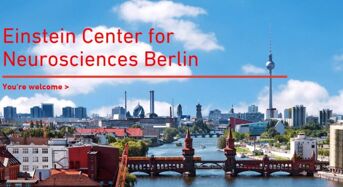 Neurosciences in Berlin– International PhD Fellowships for National and International Scientists, 2019