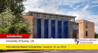 Surrey International funding for Excellence in UK, 2019