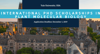 Yale University International PhD Positionsin Plant Molecular Biology in the USA