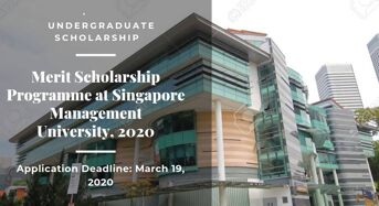 Merit programme at Singapore Management University, 2020