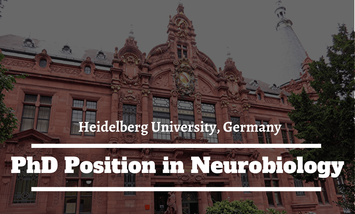 phd university of heidelberg