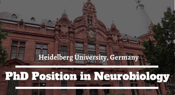 Heidelberg University PhD Position in Neurobiology in Germany, 2020