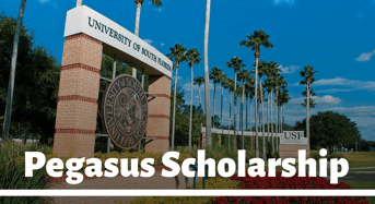 UCF Pegasus Scholarship