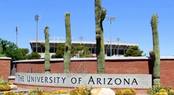 Global Wildcat Freshman Tuition Award at University of Arizona in USA, 2020