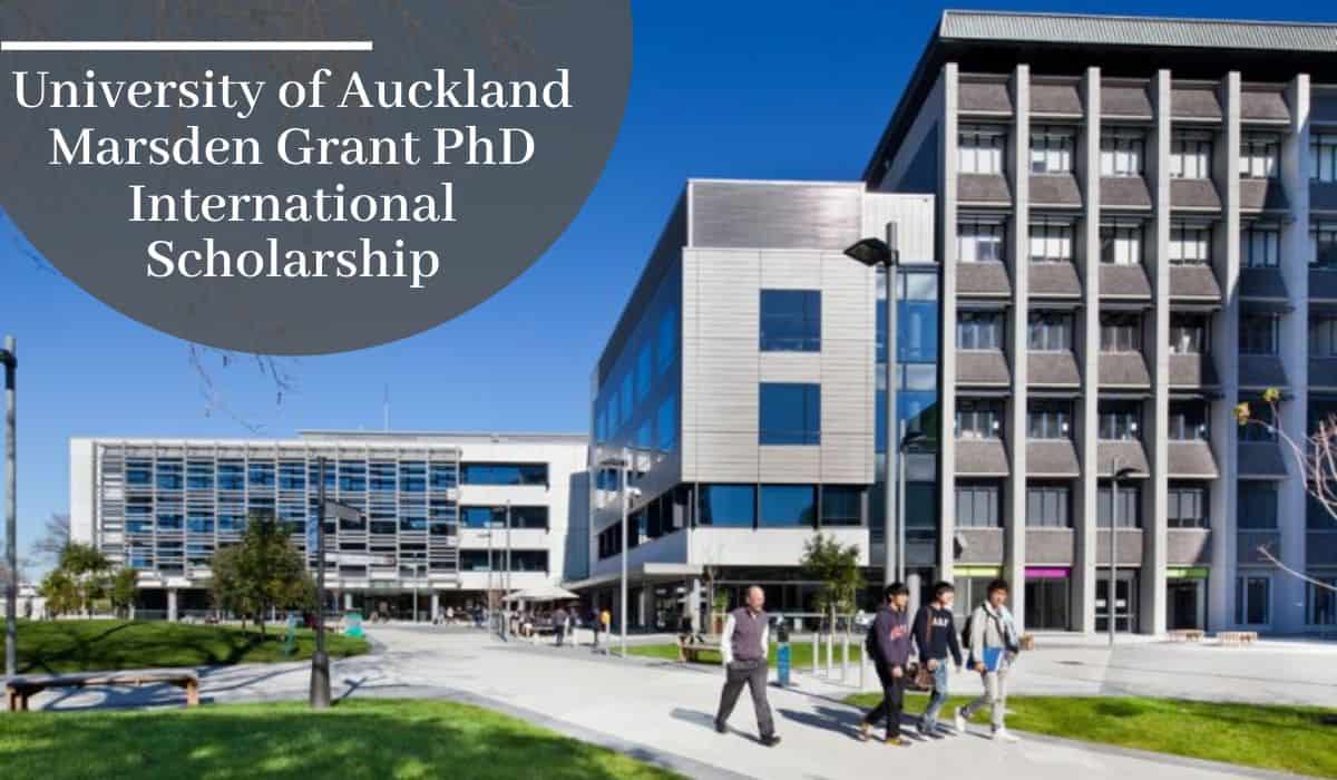 university of auckland phd management