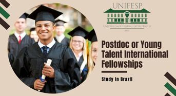 Postdoc or Young Talent International Fellowships at Federal University of São Paulo in Brazil, 2020