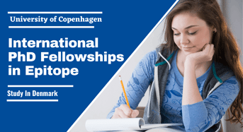 University of Copenhagen International PhD Fellowships in Epitope, Denmark