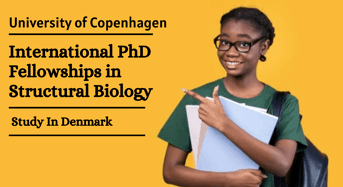 International PhD Fellowships in Structural Biology at University of Copenhagen in Denmark