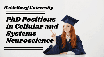 PhD Positions in Cellular and Systems Neuroscience in Germany