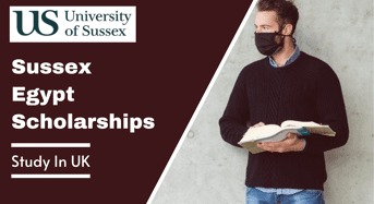 Sussex Egypt Scholarships in the UK, 2022