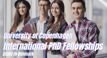 University of Copenhagen International PhD Fellowships in Food Biotechnology, Denmark
