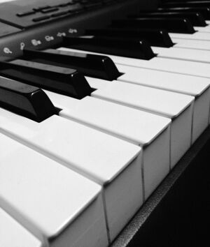 Beautiful Piano Keys Free Photo 4